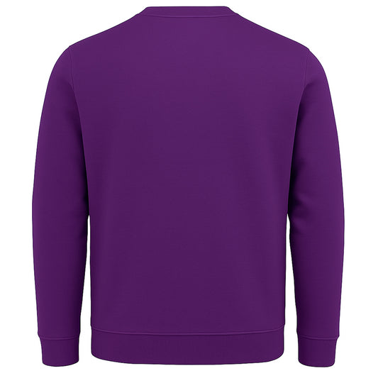 ce level 2 armored sweatshirt for bikers
